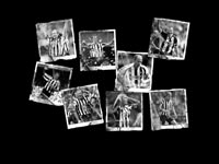 Alan Shearer Wallpaper