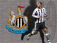 Titus Bramble Wallpaper