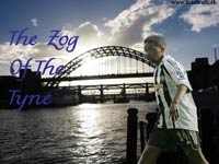 Charles N'Zogbia Wallpaper